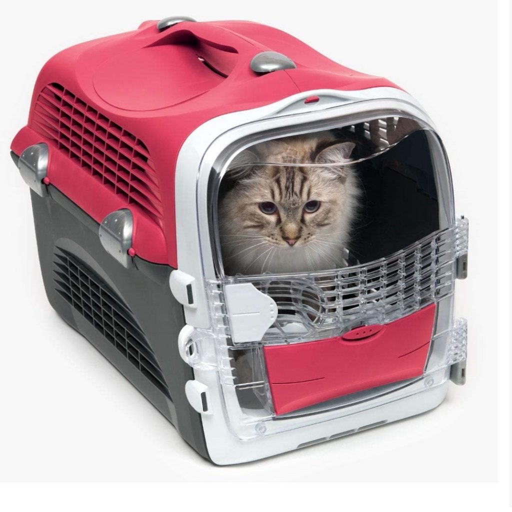 Katzentransportbox TestÜberblick September 2024 Die besten