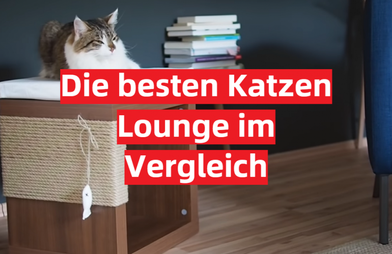Katzen Lounge Test Oktober 2023: Die besten 5 Katzen Lounge im Vergleich