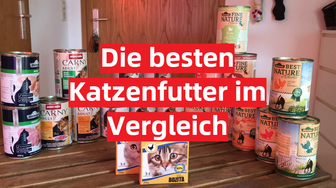 Katzenfutter TestÜberblick November 2024 Die besten Katzenfutter im